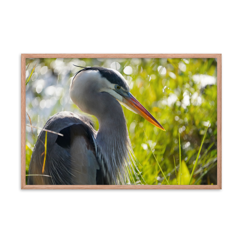 "Heron Essence" Framed photo paper poster