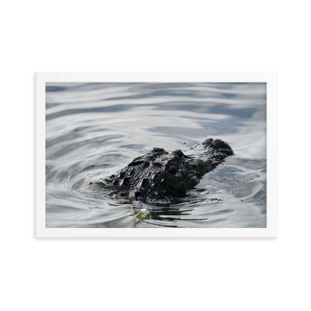 "Wading in the Water" Framed photo paper poster