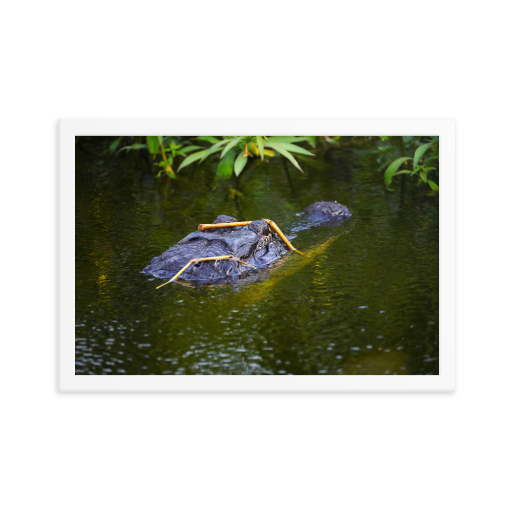 "Gator in Disguise" Framed photo paper poster