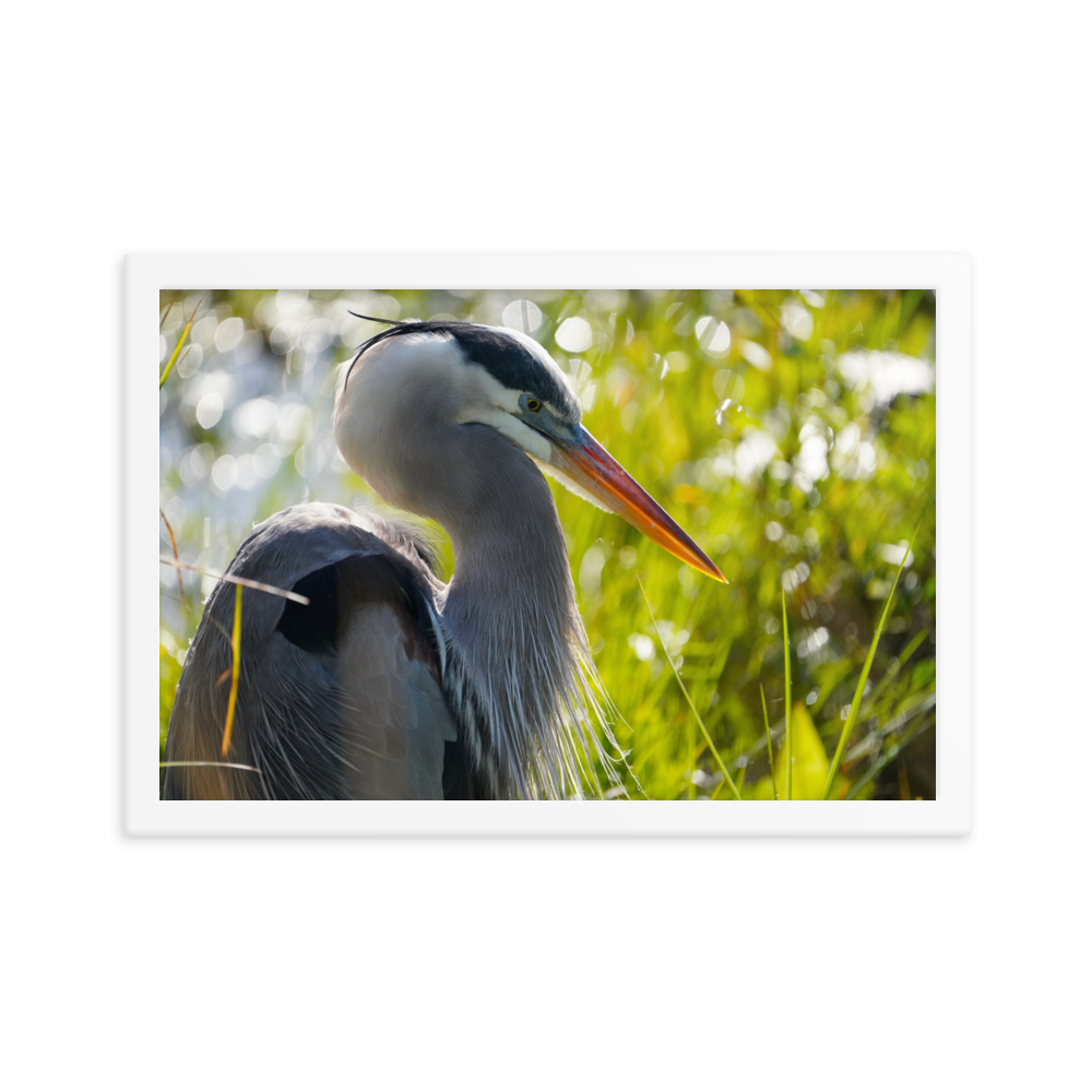 "Heron Essence" Framed photo paper poster