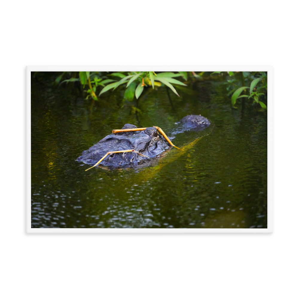 "Gator in Disguise" Framed photo paper poster