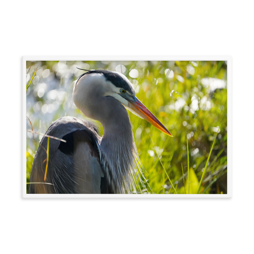 "Heron Essence" Framed photo paper poster