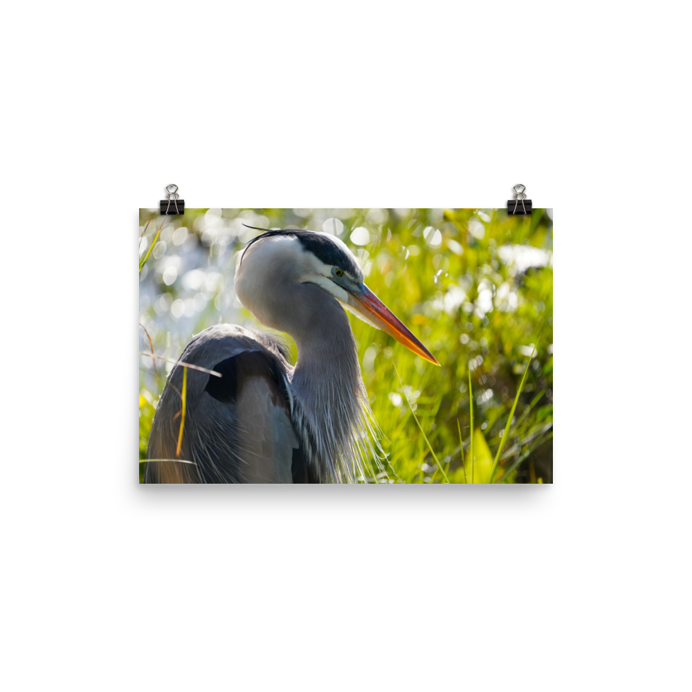 "Heron Essence" Photo paper poster