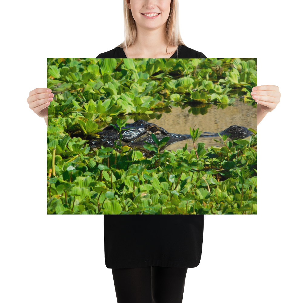 "Gatorflage" Photo paper poster