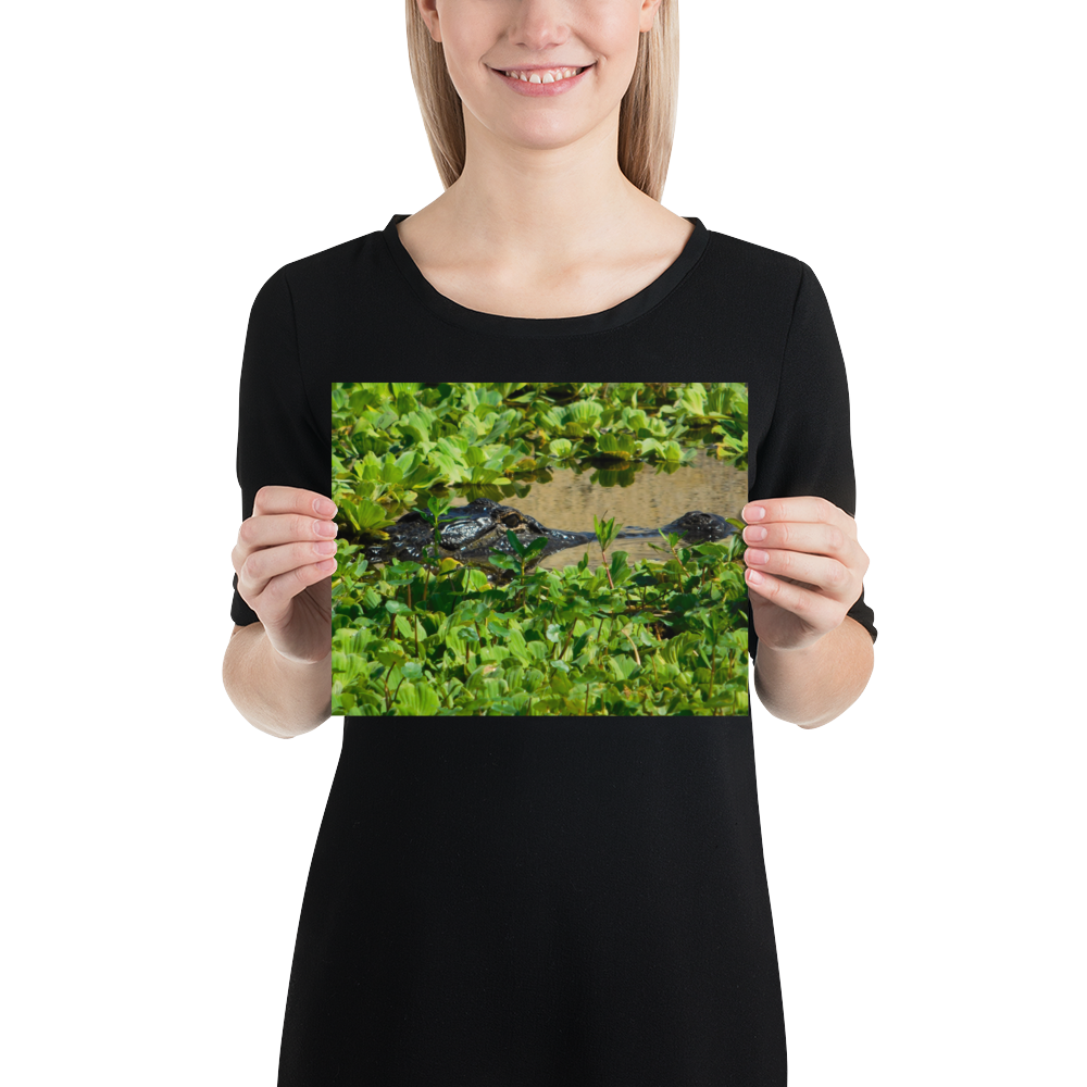 "Gatorflage" Photo paper poster