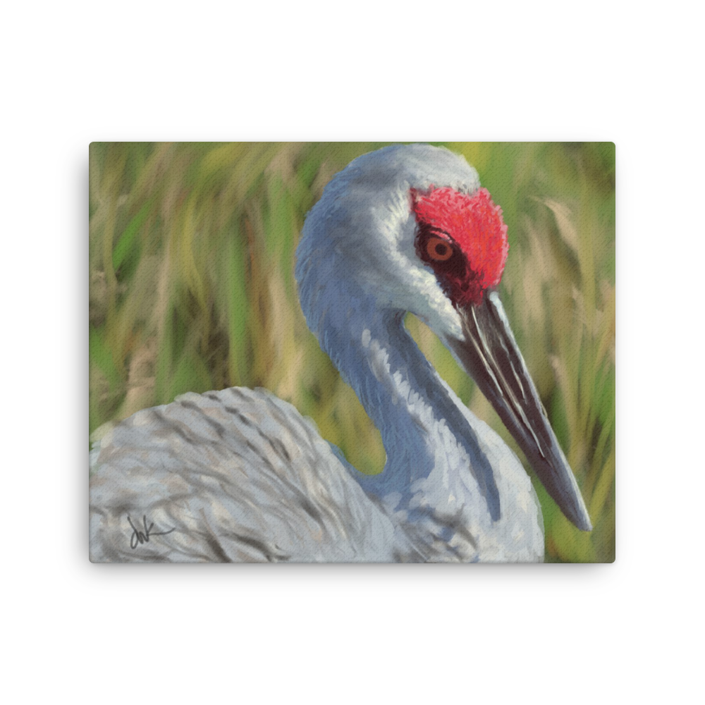 "Painterly Sandhill" Thin canvas