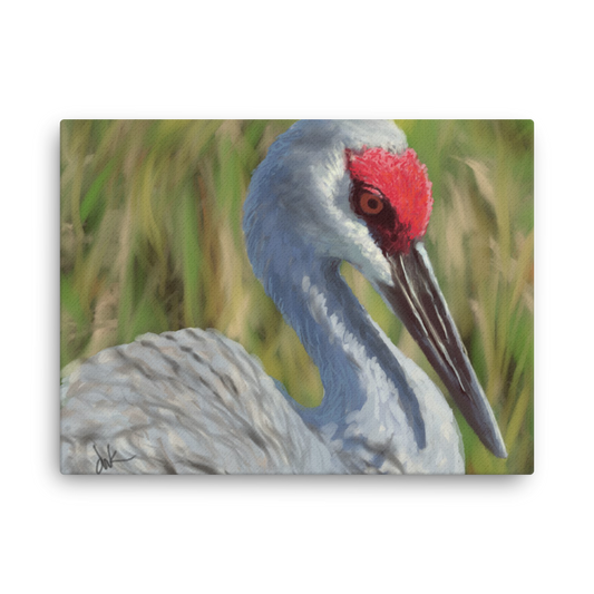 "Painterly Sandhill" Thin canvas