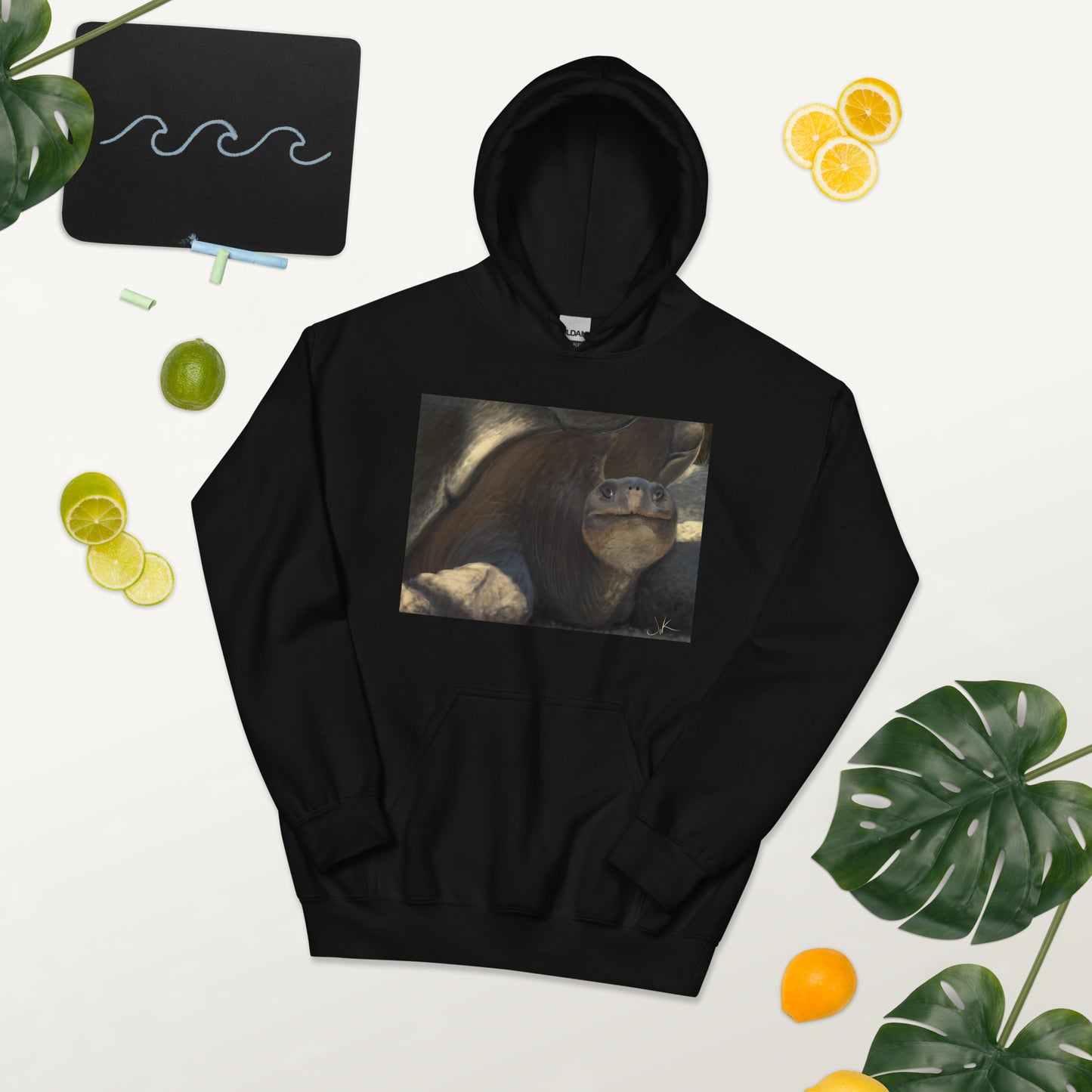 Tortoises are known for being slow, but, in addition, they are also quite friendly. I felt I had to showcase this side of their personality when I digitally painted this printed piece. The smile is subtle, but it still makes me smile in return. This digital wildlife animal painting print design is printed on a cozy hoodie.