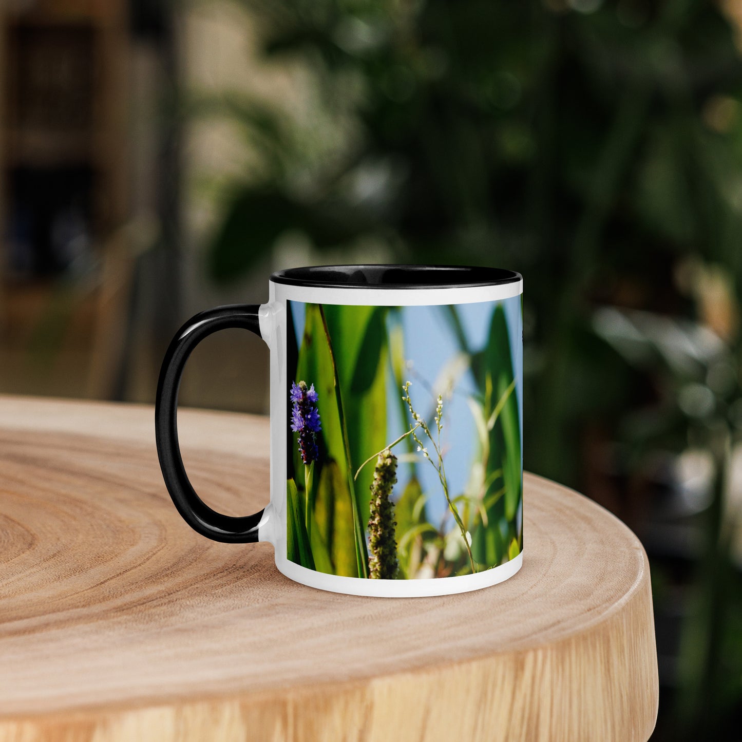 "Butterfly Feast" Mug with Color Inside