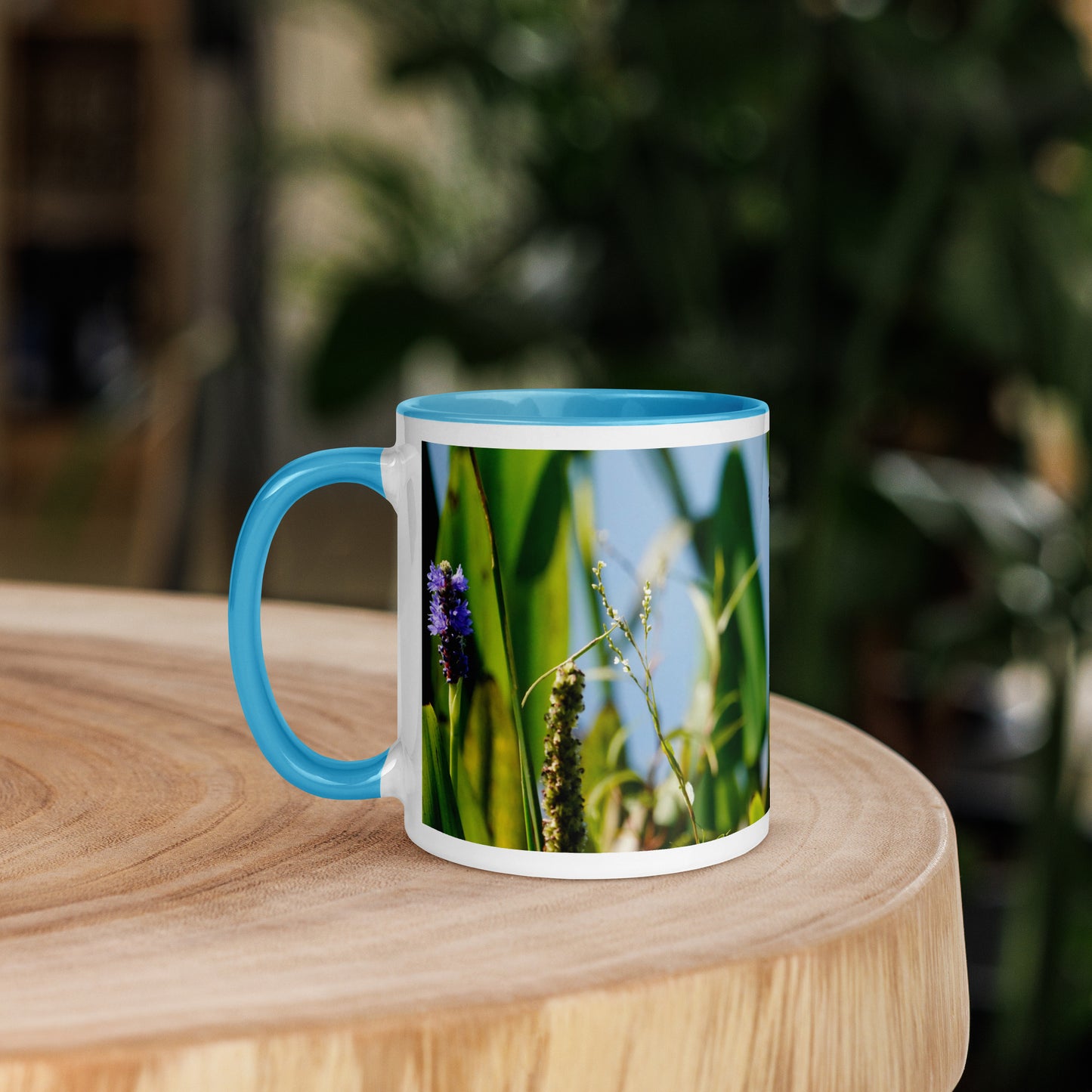 "Butterfly Feast" Mug with Color Inside