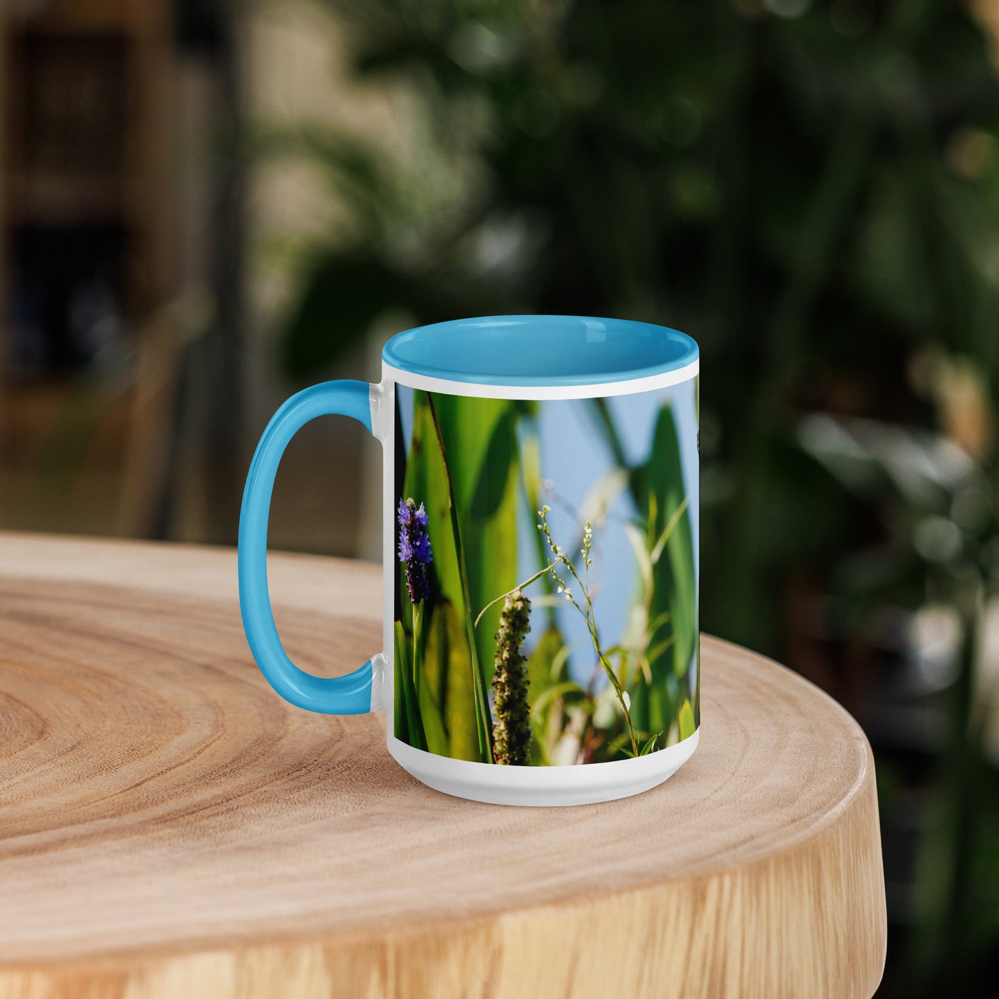 "Butterfly Feast" Mug with Color Inside