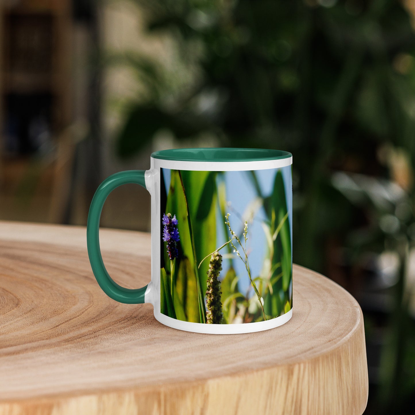 "Butterfly Feast" Mug with Color Inside